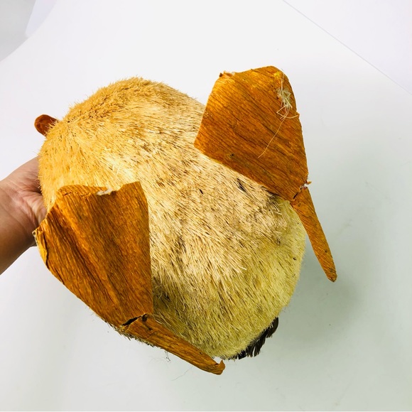 Handmade Natural Straw Duck Standing Walking Decoy Home Country Decor 14" Tall - Picture 6 of 7